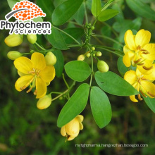 Pure cassia tora seeds protect the liver